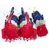 Conjunto de Sujetador con Aros Bordado para Niña Pecho Pequeño Push-Up Sexy Espalda Hermosa con Moño Lencería para Mujer