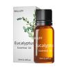 Comercio exterior soluble en agua aromaterapia aceite esencial humidificador especial traje de aceite esencial vegetal aceite esencial de lavanda