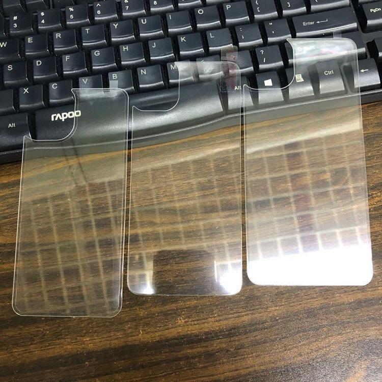 11后膜 (5)