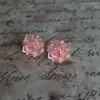 Presilhas de Orelha Flor Rosa de Acrílico Coreano, Modernas e Doces, Brincos Florais Versáteis para Mulheres Sem Orelhas Furadas, Presilhas de Orelha Tipo Bobina de Mosquito