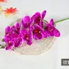 Phalaenopsis maceta individual individual 3D decoración hidratante flor flor artificial plástico decoración de sala de estar flor escritorio