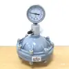 Diafragma de PTFE UPVC/CPVC Amortiguador de Pulsos Bomba Dosificadora de Líquidos Ecualizador de Flujo PP Buffer Manómetro
