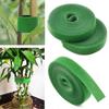 Cinturón autoadhesivo para atar plantas verdes, para jardinería, trepadoras, con velcro para sujetar y fijar plantas, para flores