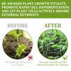 Nutriente para el crecimiento de plantas Yegbong enraizamiento de plantas de flor fertilizante concentrado para promover el crecimiento rechoncho