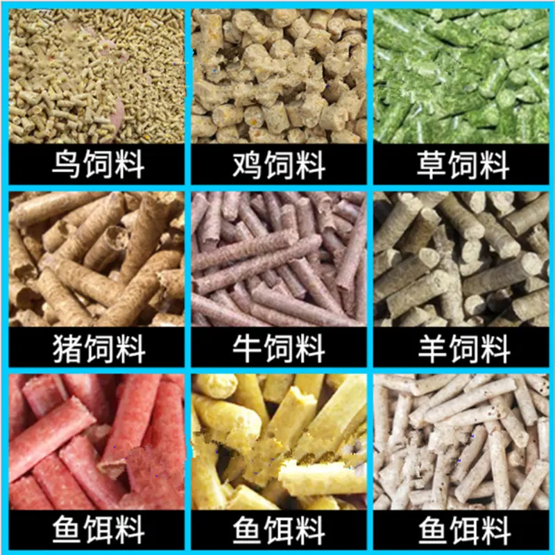颗粒展示 (2).png
