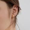 Pendientes Nuevos en Forma de Corazón Japoneses y Coreanos St.Delan Pendientes de Corazón de Acero Inoxidable Pendientes Sencillos y Modernos Puntos al Por Mayor