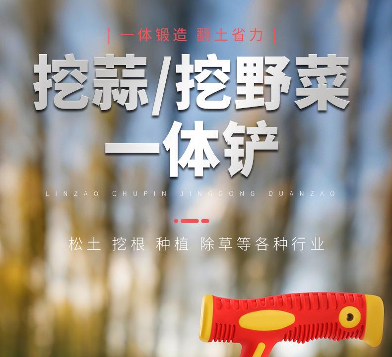 详情_01.jpg