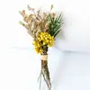 Flores Secas Transfronterizas de Amazon, Flores Preservadas, Mini Ramos, Mini Boutonnières, Cajas de Regalo y Ramos Listos