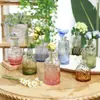 Transfronteiriço Luz Nórdica Luxo Retrô Vidro Pequeno Vaso Transparente Estilo Ins Ornamento Arranjo de Flores Vintage High-End Estilo Nórdico