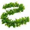 Enredadera Parthenocissus Uva Hoja de Vid Verde Pegada con Goma Decoración de Vid Falsa para Enrollar Tubería Enredadera Verde Plantas Verdes Plantas de Hojas Verdes