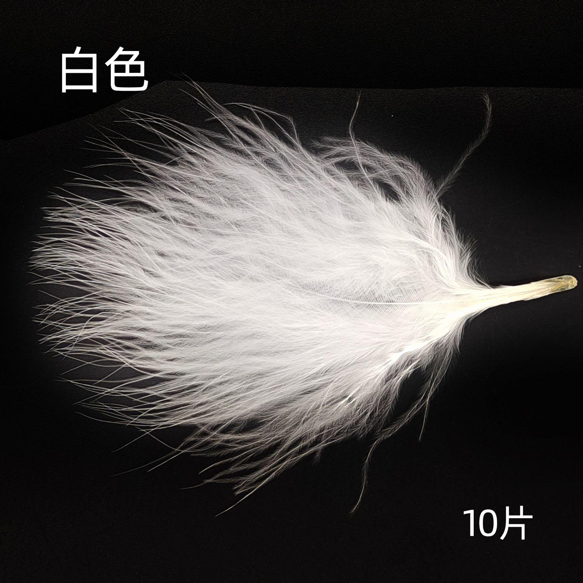白色