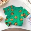 Nueva camiseta de algodón para niñas de manga corta de verano, clase de bebé, media manga para bebé, niños, absorbente de sudor, fabricantes de ropa para niños, venta al por mayor