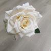 Flor artificial, rosa moca individual, transfronteriza, rosa caliente, flor falsa, decoración de mesa, flor de seda, rosa grande, venta al por mayor