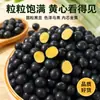 Frijoles Negros de Grano Redondo y Centro Amarillo, Frijoles Negros Crudos, Producidos en Granja, Suministro Abundante, Granos Enteros, Dropshipping de una Sola Pieza, Venta al por Mayor y al por Menor