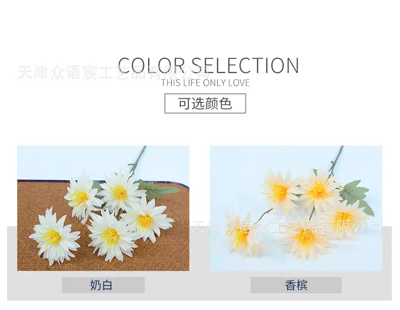 详情_02.jpg