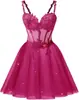 Estilo Nuevo 2026 Elegante Ceñidor de Cintura Sin Tirantes Malla Fiesta de Cumpleaños Dama de Honor Vestido de Noche para Mujeres, Suministro Transfronterizo
