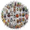 50 PET Insect Series Beetle Series Adesivos DIY Presente de Natal Capa de Telefone Bagagem Adesivos Decorativos