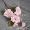 Rosa artificial de 5 cabezas rosa laifei flor guía para camino de boda peonía decoración para el hogar rosa camelia comercio exterior flor de seda falsa