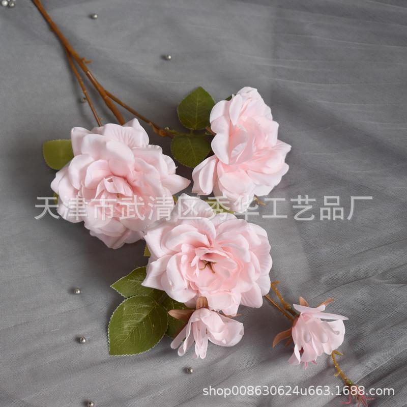 茶花浅粉色