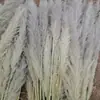 Buquê de capim-dos-pampas seco, decoração de casamento com junco grande, estilo nórdico, buquê de flores secas natural de alta qualidade atacado