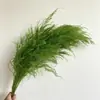 Atacado de Grama Eterna do Fabricante para Casamento e Decoração de Casa DIY Materiais Florais, Grama de Cabelo Longo para Flores de Arte Penduradas