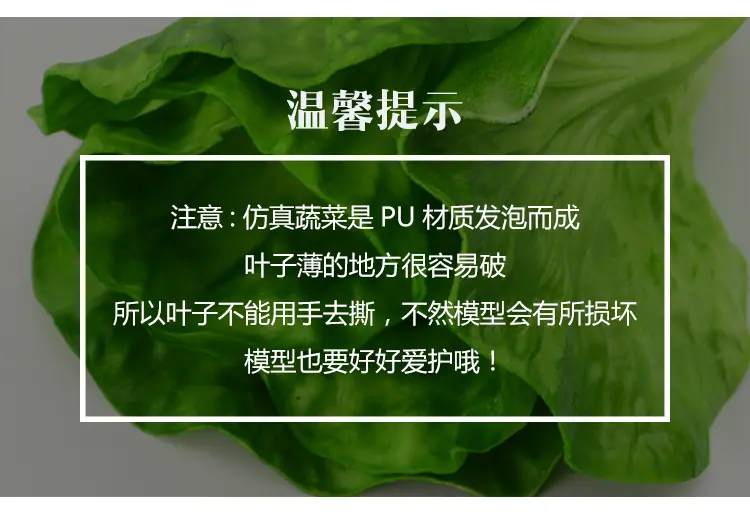 蔬菜模型