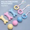 Brinquedo Molar para Cães Pet Molar Stick Resistente a Mordidas Suprimentos para Cachorros Pequenos Bola Osso Stick Gum Dog Set