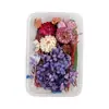 Decoración artesanal DIY mixta, set de flores eternas y flores secas, material para marco de fotos DIY, material de flores, bolsa para repujado
