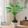 Escama de Dragão Pena de Primavera Bola de Musgo em Vaso Tronco Velho Escritório Plantas Hidropônicas Tolerantes à Sombra Internas e Externas Purificam o Ar Plantas Verdes de Mesa