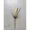 Manojo de Aloe Vera Artificial, Planta Suculenta Falsa Realista, Accesorio para Pared de Plantas Verdes, Decoración de Ventana de Exhibición para el Hogar, Planta Verde Artificial