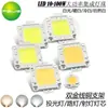 Perla de lámpara LED integrada de alta potencia 10W -100W lámpara de proyección farola lámpara de minero industrial luz blanca blanco cálido blanco frío Blanco Natural