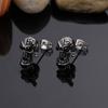 Comercio electrónico transfronterizo comercio exterior fuentes de una generación de moda europea y americana personalidad calavera de diamante acero de titanio pendientes para hombre