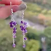 Brincos Longos com Pingente de Uva de Cristal Roxo 2025 Design de Nicho para Mulheres Temperamento de Alto Padrão Brincos de Clipe Retro