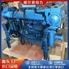 Motor Diésel Marino Weifang Wp13 Motor Diésel Marino de 550 Caballos de Fuerza Motor Azul Motor Diésel de Alta Potencia Motor Marino Wp12