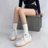 Calcetín Zhuji de Media Pantorrilla Calcetín Esponjoso Tejido 2026 Nuevo Producto Otoño/Invierno Calcetín para Mujer Blanco Moderno Lindo Calcetín Largo 3