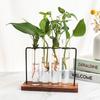 Suministro de fábrica Nórdico simple hierro madera tubo de ensayo vidrio decoración hidropónico planta verde arreglo floral jarrón entrada interior