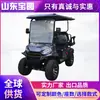 Suministro transfronterizo de carritos de golf, vehículos eléctricos turísticos para zonas escénicas, vehículos de patrulla de propiedad de fábrica, carritos de golf eléctricos