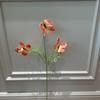 Simulación de mariposa, simulación de flor, mariposa, impresión 3D, mariposa estéreo, pequeño libro rojo, explosiones, Monet, jardín, ventana, conjunto