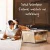 Amazon Gato Perro Perro Bebedero Estante Estante de Alimentación Mascota Tazón Estante Alimentador Automático Venta al por Mayor