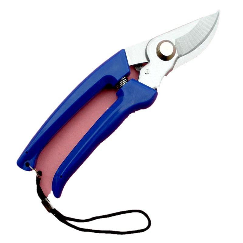 1171680353me8c9bfc8-4952-44e1-