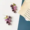 Brinco de Clipe de Uva Astolite Natural Estilo Japonês Feminino Design Fofo Fresco Criativo Brincos de Fruta