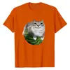 Camiseta Nueva con Estampado de Meme de Gato Sandía para Mujer, Moderna, Comercio Exterior, Holgada, Casual, Deportiva, Manga Corta