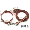 Huella Perro y Gato Correa Mascota Pequeña Correa Collar Set Cuerda para Pasear Perro Teddy Gatito Correa