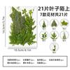 Calcomanías hechas a mano de hojas de jardín de niños, flores secas, repujadas, para fotos DIY, decoración facial, hojas reales, especímenes de plantas al por mayor
