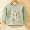 Moletons Infantis Primavera e Outono Algodão Puro Meninos e Meninas Moda Roupa Exterior Camisetas de Base Tamanhos Pequenos e Médios Camisetas Infantis de Manga Longa Roupas de Bebê
