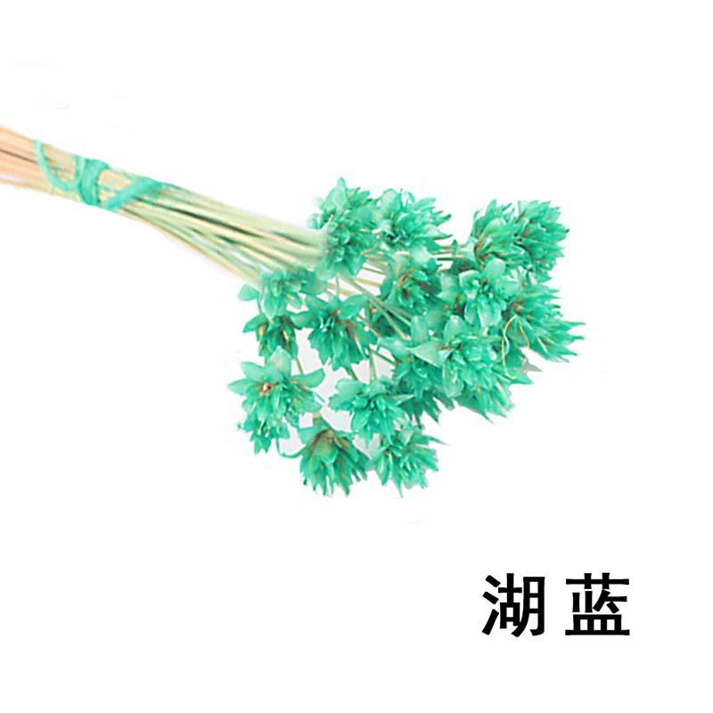 永生花湖蓝.jpg