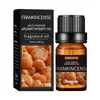 Aceite de Masaje de Aceite Vegetal de Fuente Local Aceite Esencial Suave e Hidratante Superventas Transfronterizo Aceite de Masaje Corporal 10ml