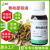 Atacado do Fabricante de Extrato de Phellodendron 100g, Extrato Líquido para Cosméticos Vegetais e Produtos de Cuidados com a Pele, Extrato de Phellodendron
