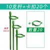 5 Hastes de Suporte para Plantas para Orquídeas, Proteção de Folhas, Monstera, Caladium, Estrutura de Suporte para Jardinagem, Fixação Antiderrapante para Flores