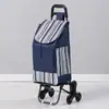 Carrinho de compras dobrável para uso doméstico, carrinho de compras leve novo, carrinho de mão que sobe escadas, carrinho de mão empurrado por idosos